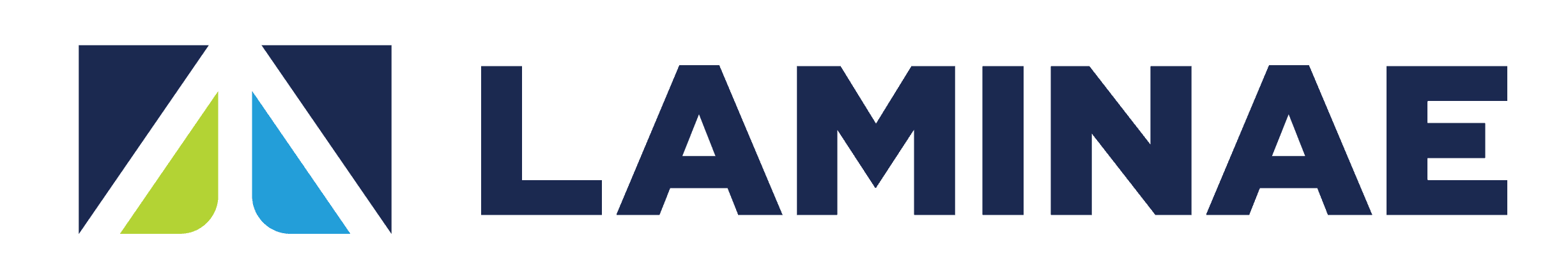 laminae logo